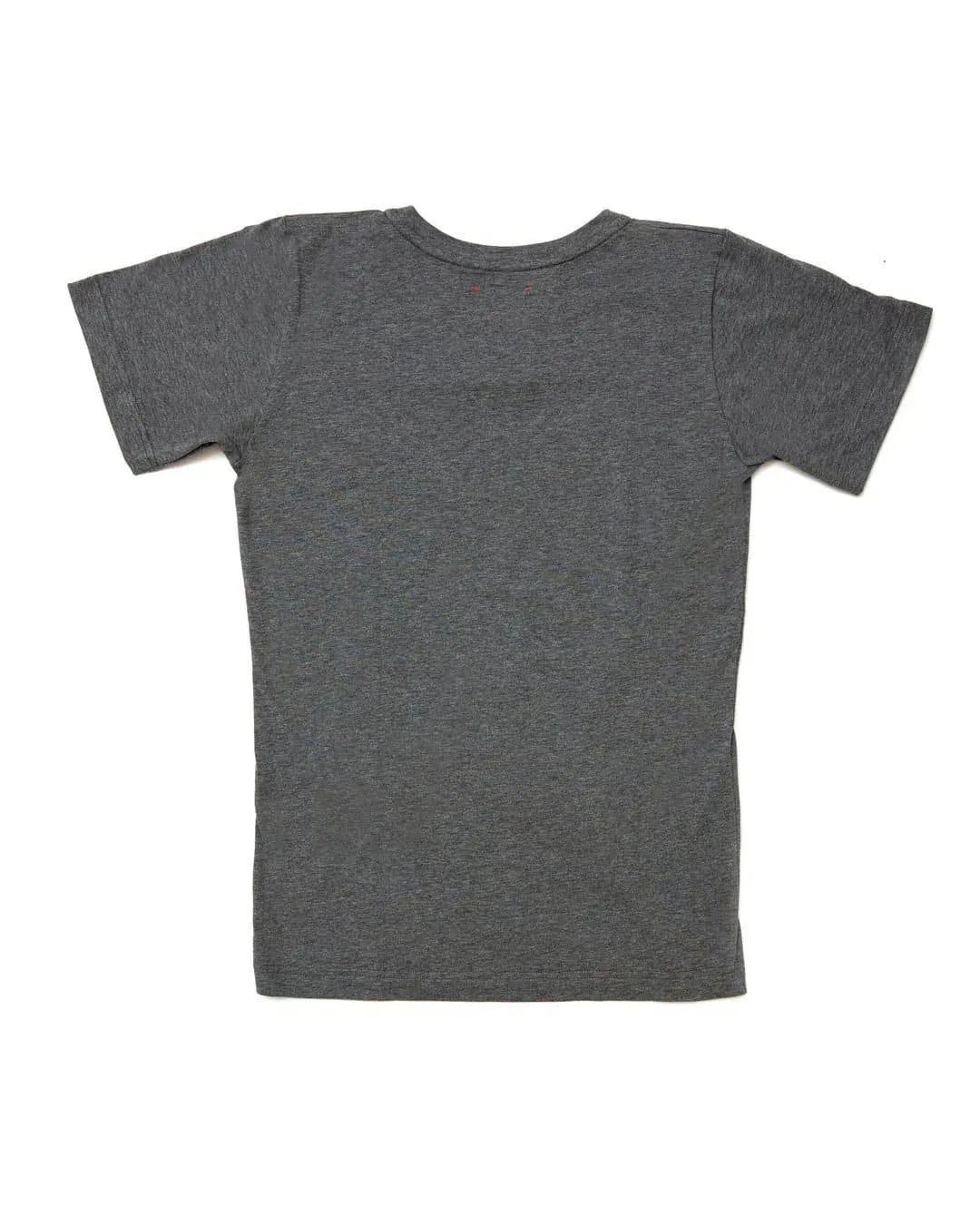 FESTKA Tshirt x Chatty - Grey