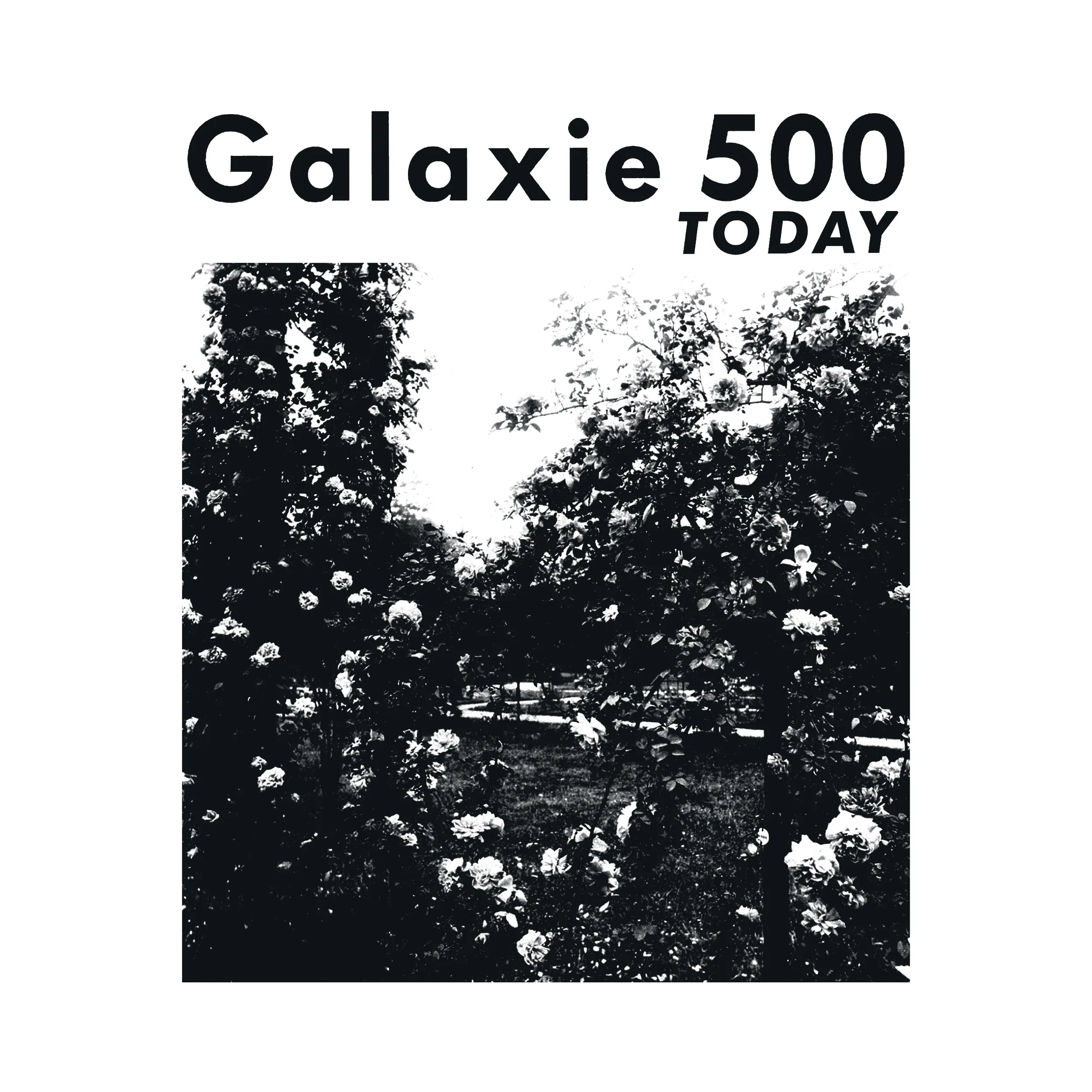 Galaxie 500 Today Slim Fit Tee