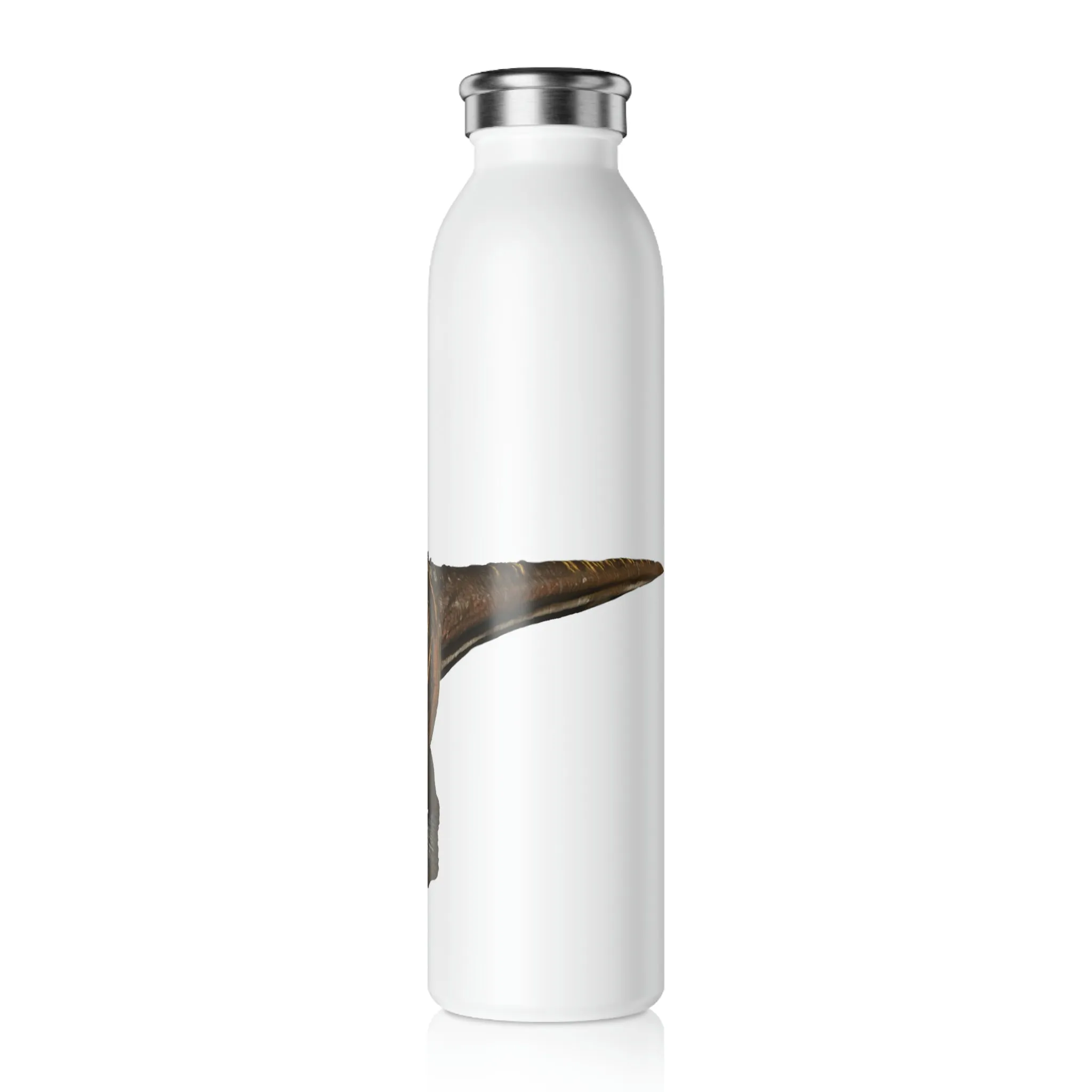 Pachycephalosaurus Slim Water Bottle